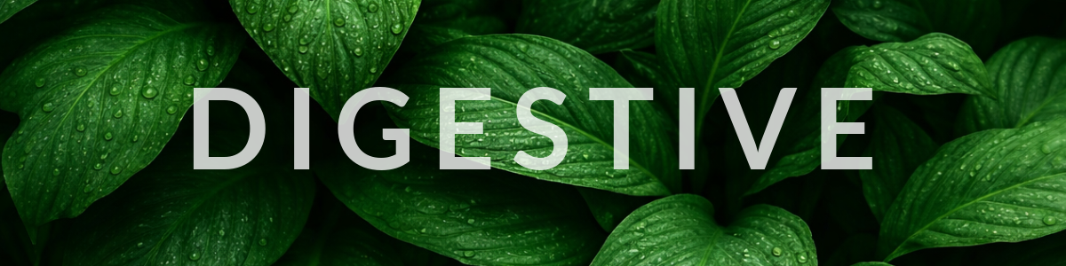 Men's Accessories Banner